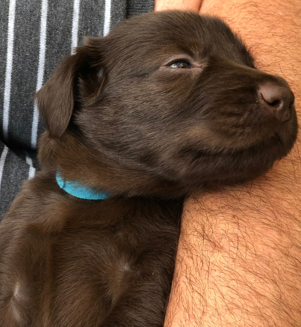 IMG_3233-Paolo &amp; Will