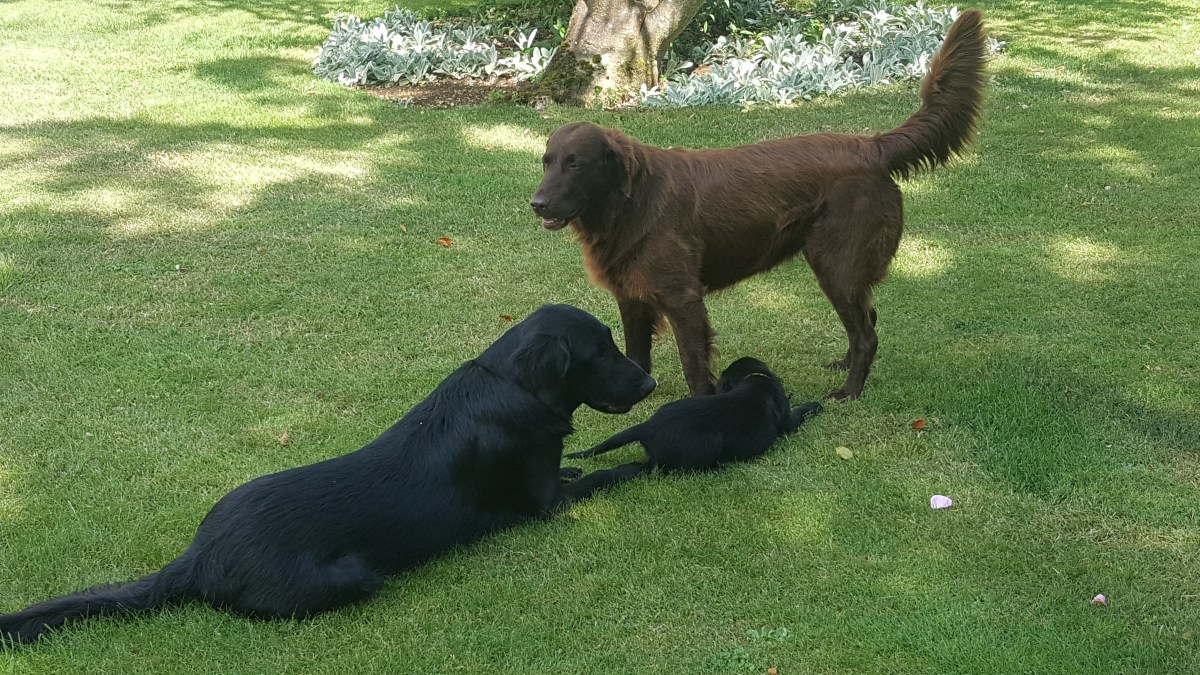 20190807_125317.jpg